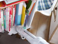 本棚の中の本の隙間や上などのホコリも、ブラシ又は細口ノズルで掃除機します。